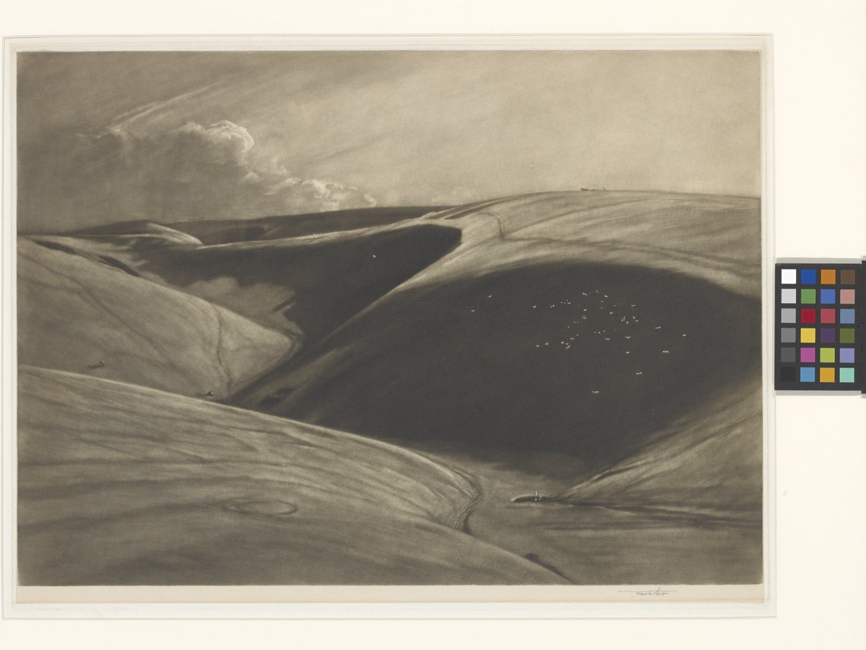 O Vale Sombreado (mezzotint em papel collé chinês da Índia) de Frank Short