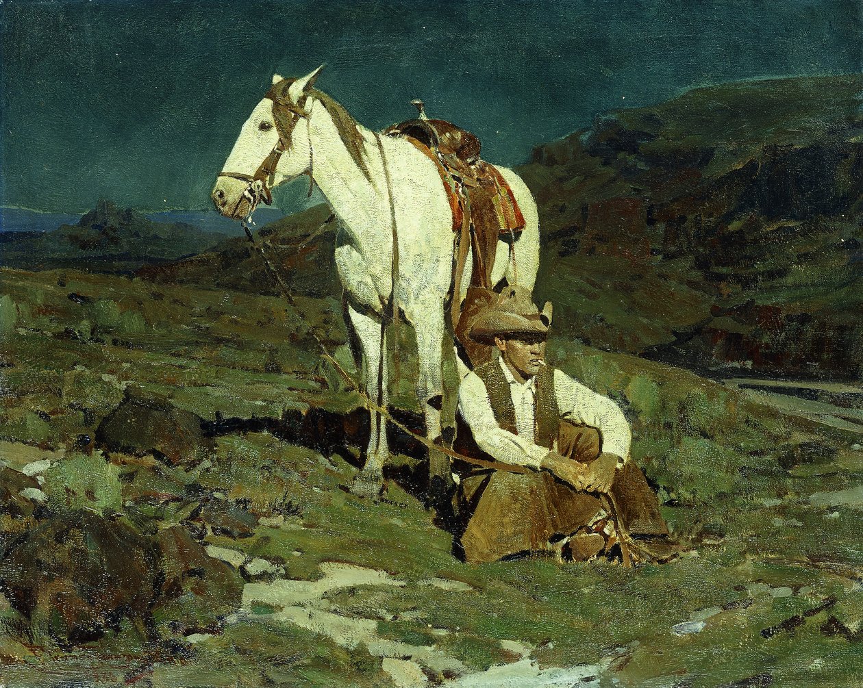 The Night Hawk de Frank Tenney Johnson