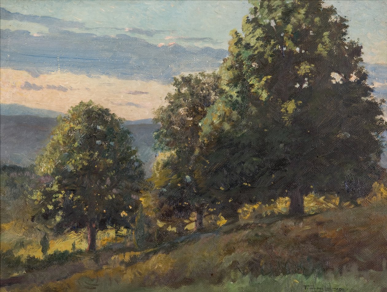 Paisagem de Frank Von der Lancken