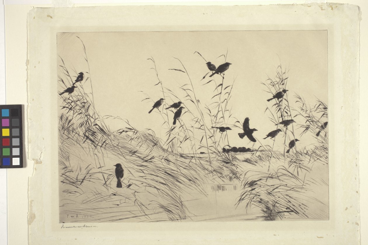 Melros e Pássaros Negros (tinta sobre papel) de Frank Weston Benson