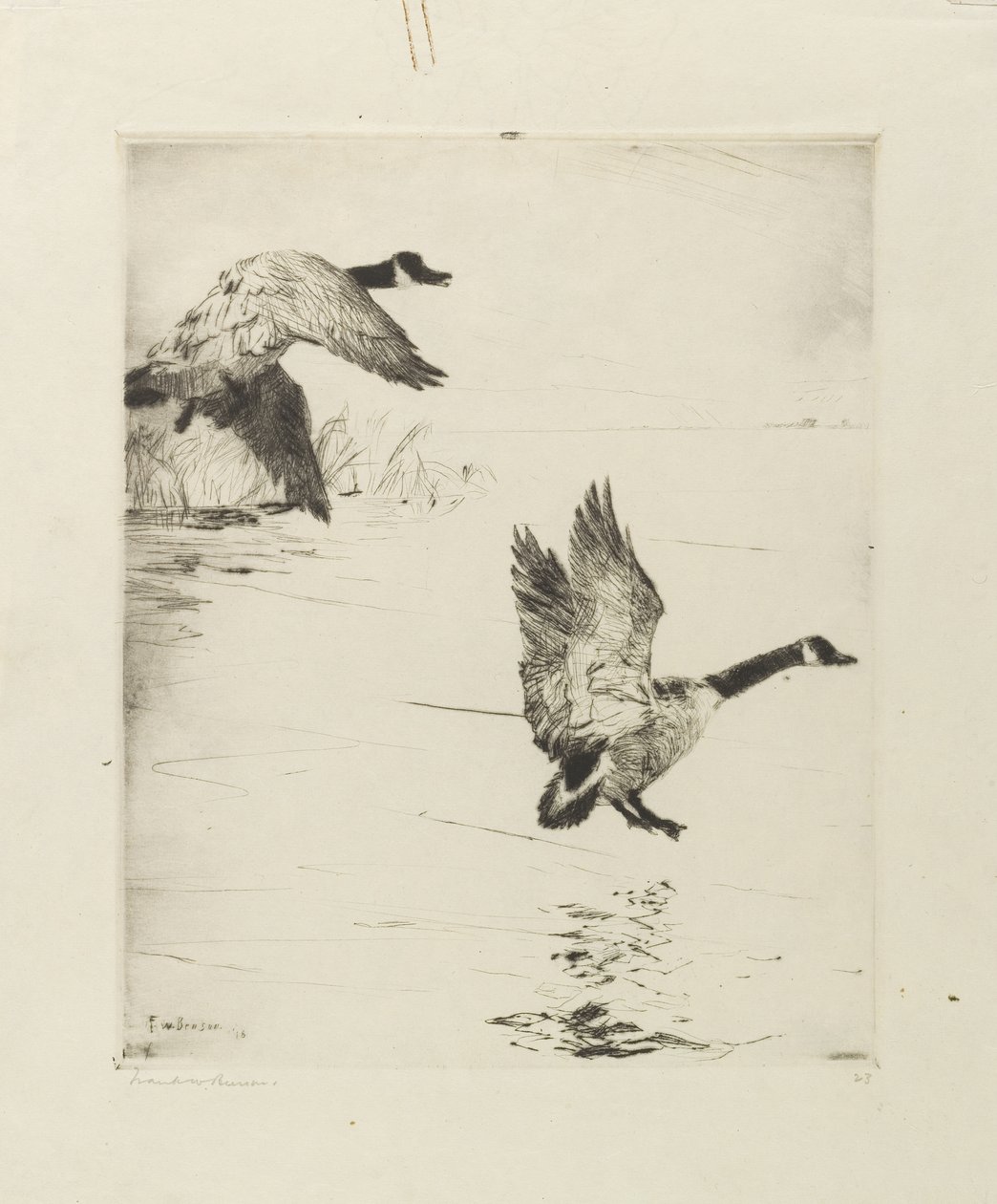 Gansos pousando de Frank Weston Benson