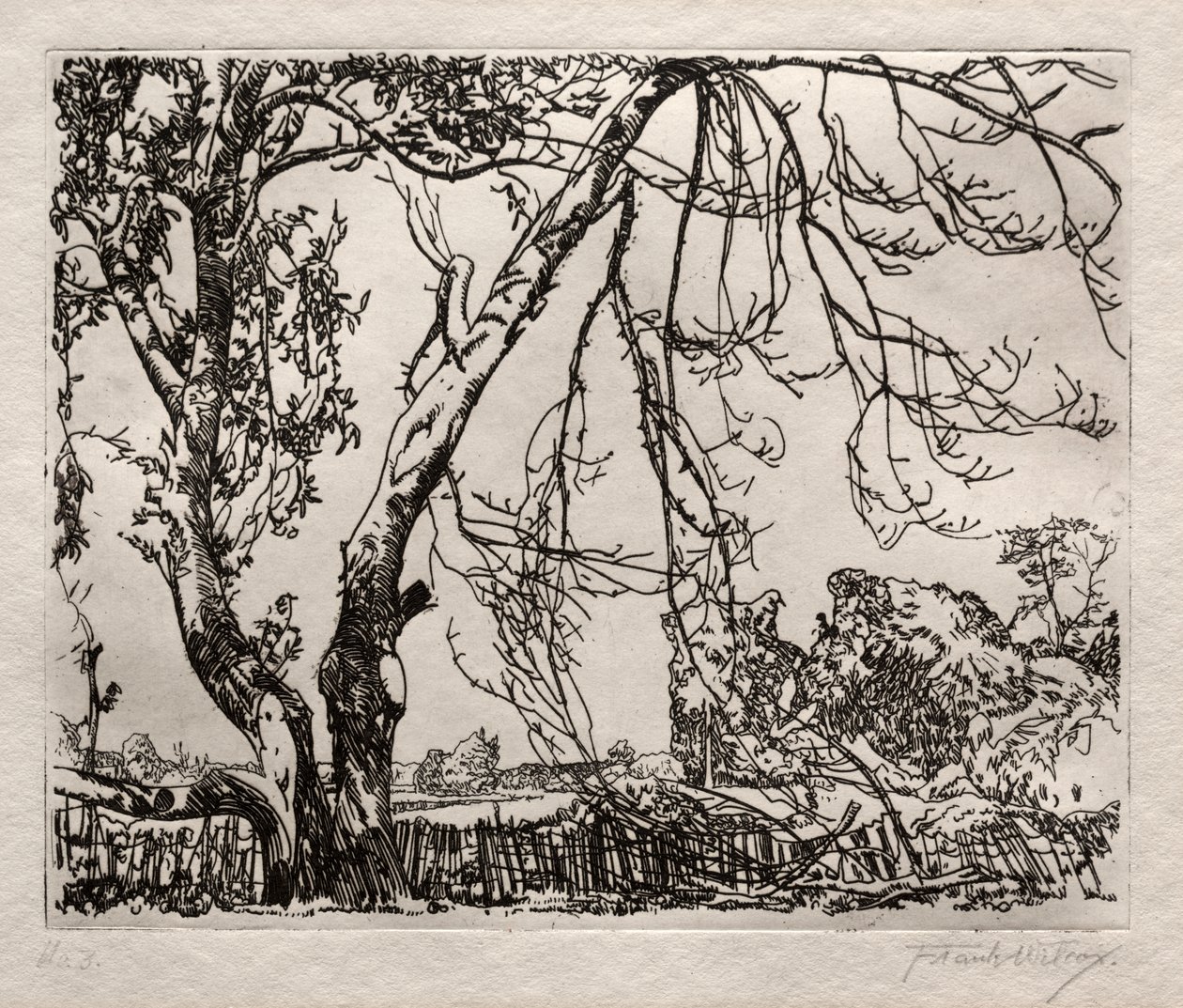 Árvore de maçã de Frank Wilcox
