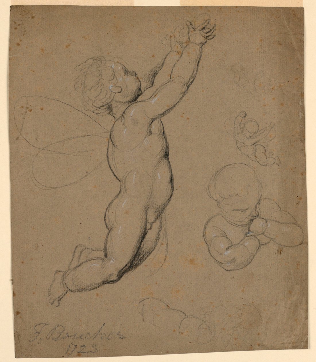 Estudos de putti de François Boucher