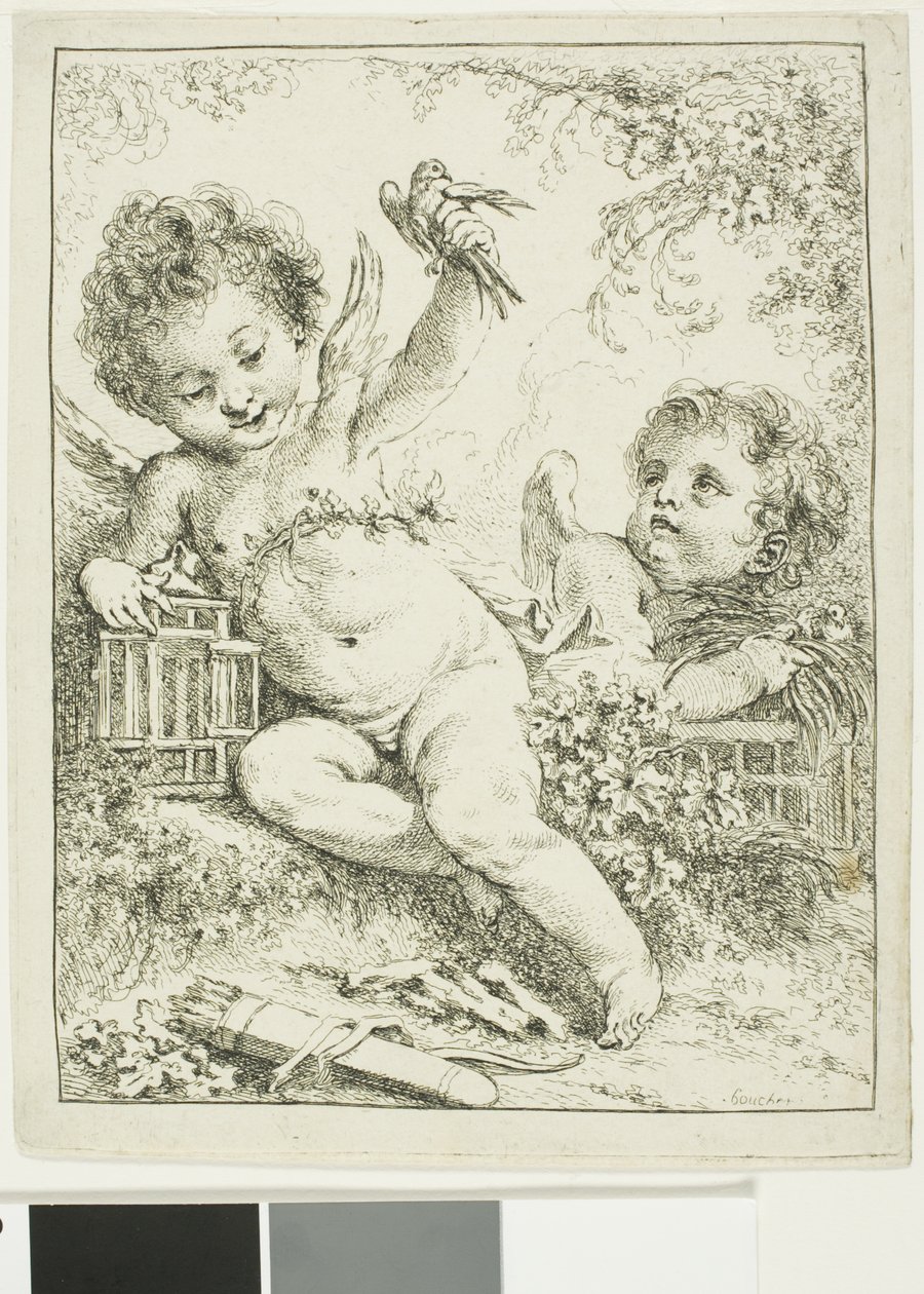 Dois Putti com um pássaro de François Boucher