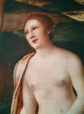 Busto de uma ninfa, detalhe de Diana banho de François Clouet