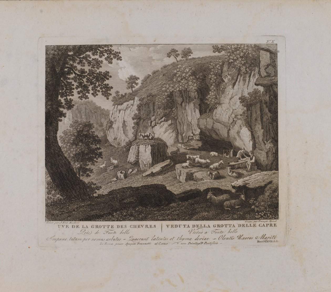 Uve (sic) da Grotte des Chevres (n.º X) de François Morel