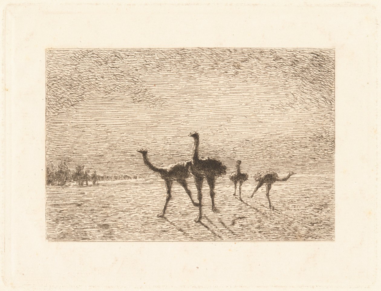 Avestruzes no deserto de François Nicolas Auguste Feyen Perrin