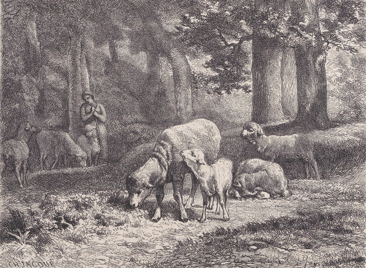 Floresta. de François Rouget