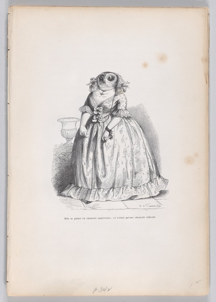 Floresta. de François Rouget