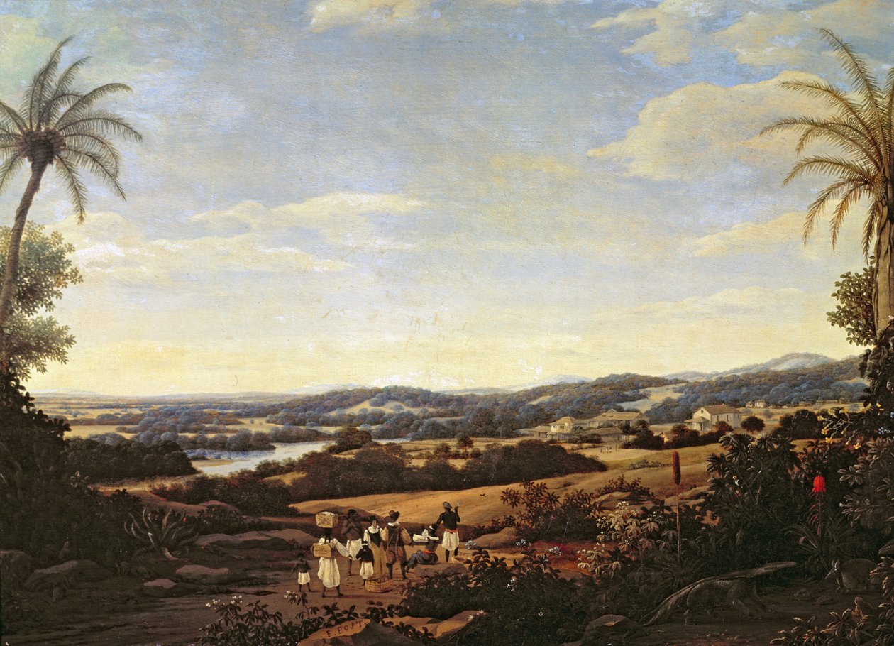 Paisagem brasileira com uma plantação de Frans Post