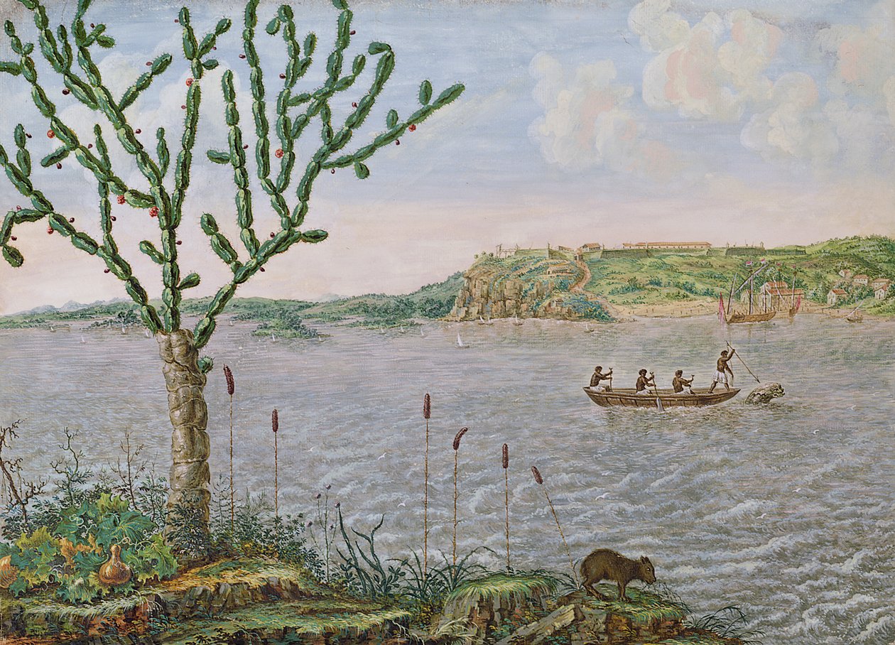 Vista de Fort Maurice no Rio San Francisco (caneta e tinta no papel) de Frans Post