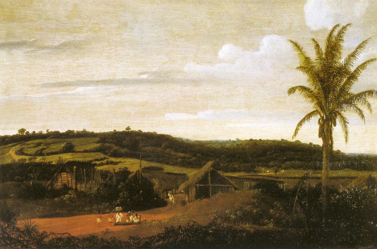 Cabanas de Frans Post