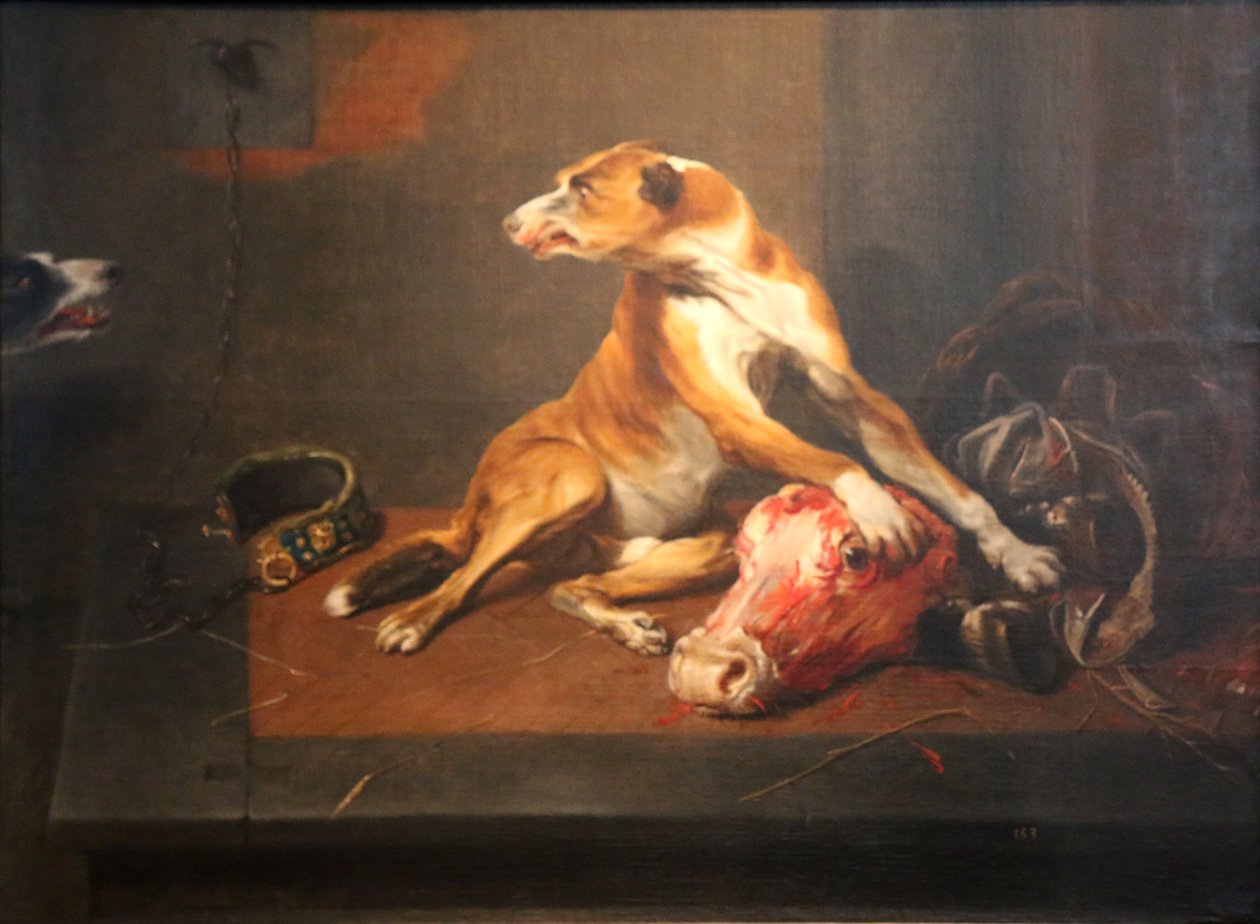 Dois cães em uma despensa de Frans Snyders or Snijders