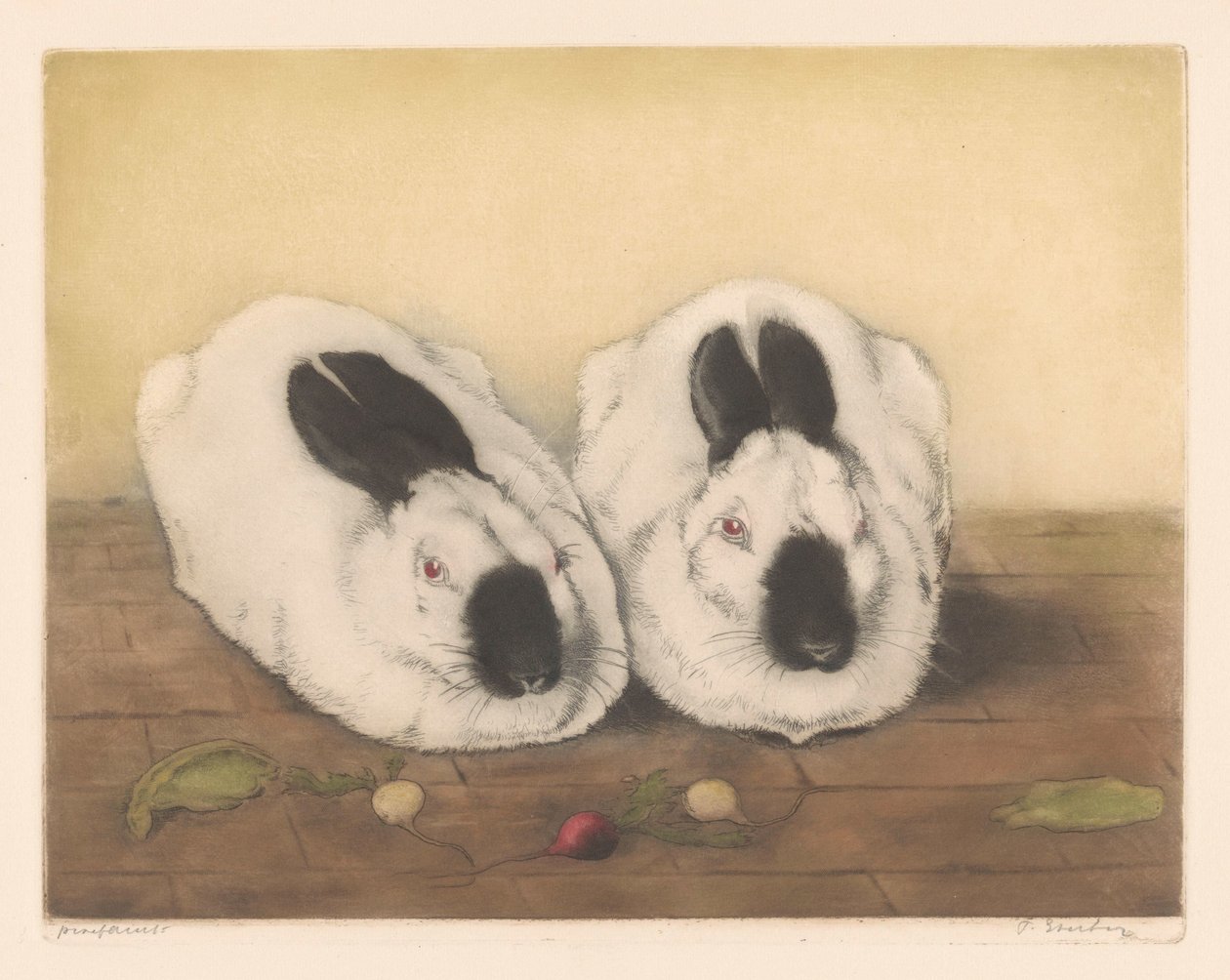 Dois coelhos do Himalaia de Frans Everbag (signed by artist)