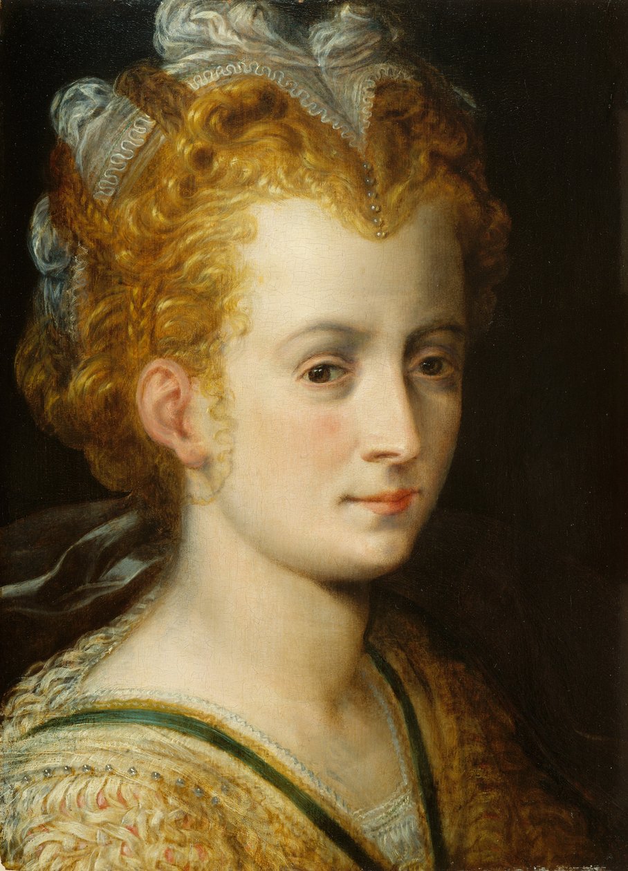 Cabeça de uma jovem mulher, c.1555 de Frans Floris