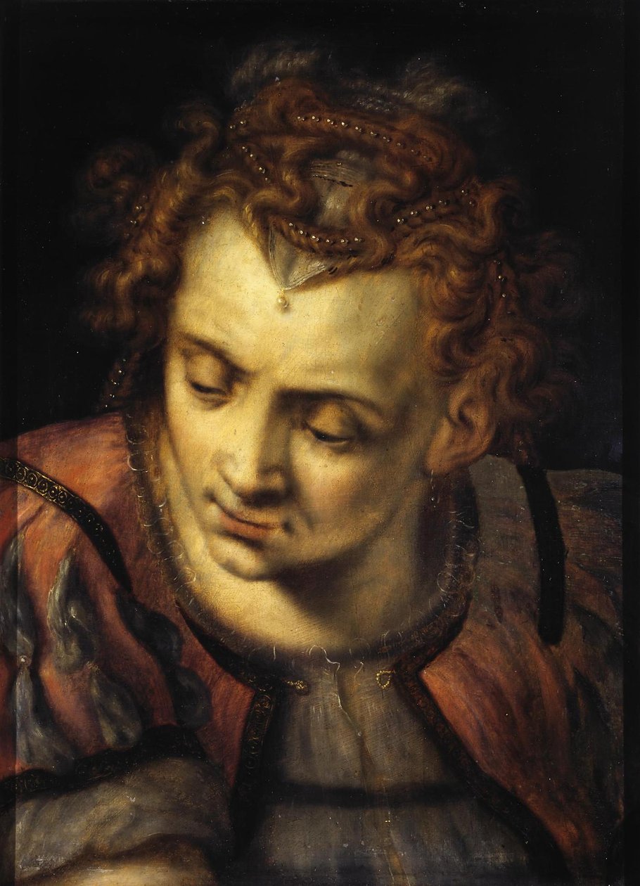 Estudo da cabeça de uma mulher de Frans Floris I