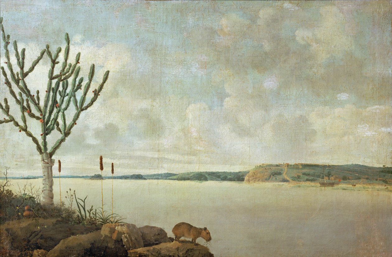 O Rio São Francisco e o Forte Maurício, Brasil ... de Frans Jansz Post