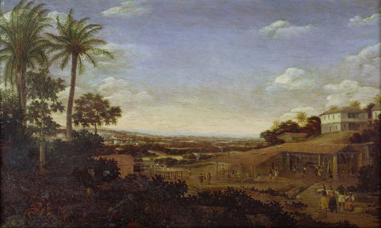 Imagem desconhecida de Frans Post