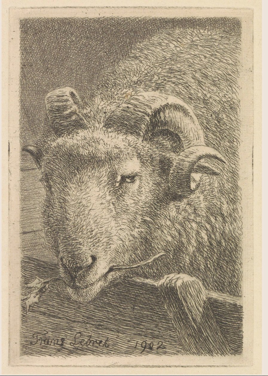 Cabeça de um carneiro de Frans Lebret