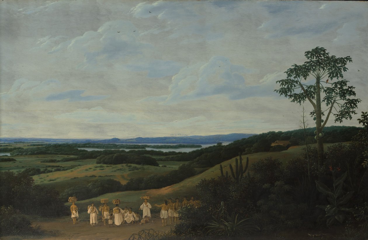 Uma paisagem brasileira, 1650. de Frans Post
