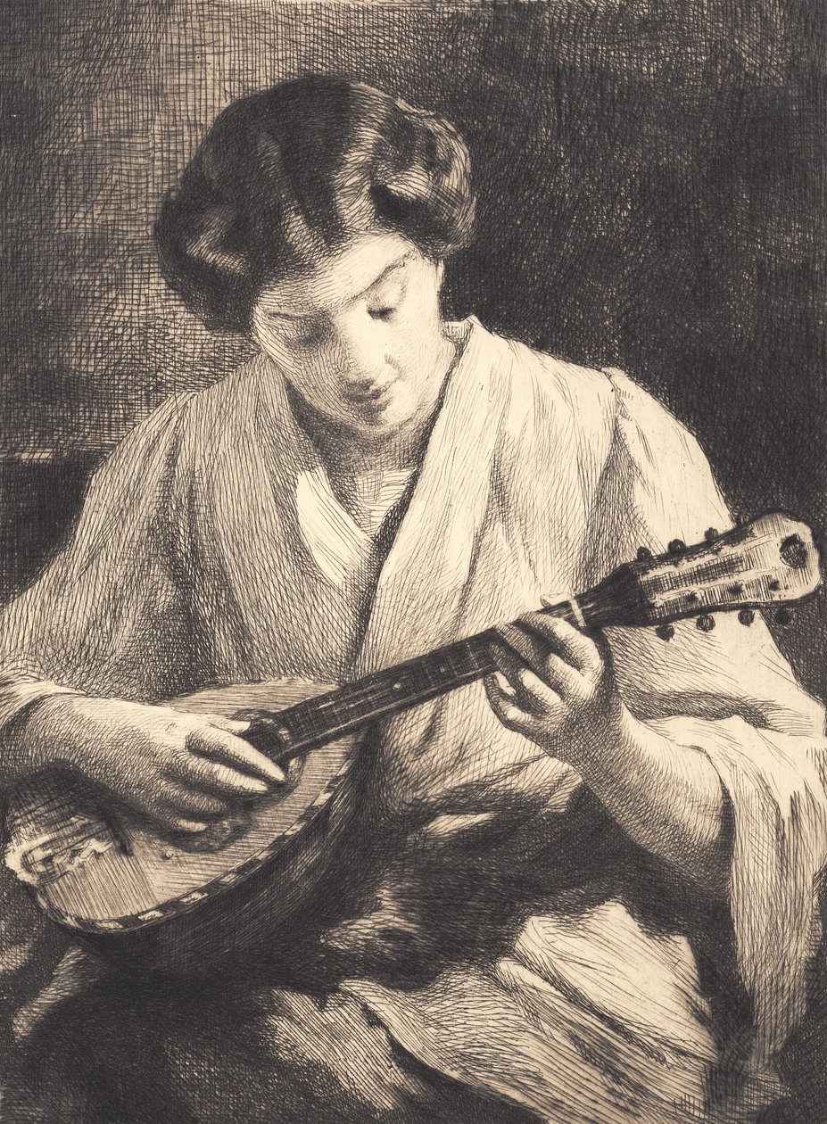 Senhora tocando bandolim de Frans Schwartz