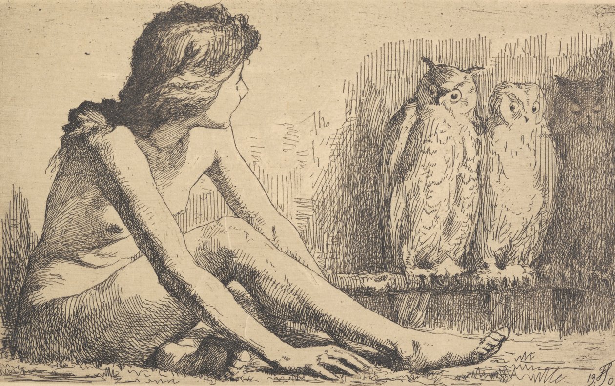 A menina das corujas de Frans Schwartz