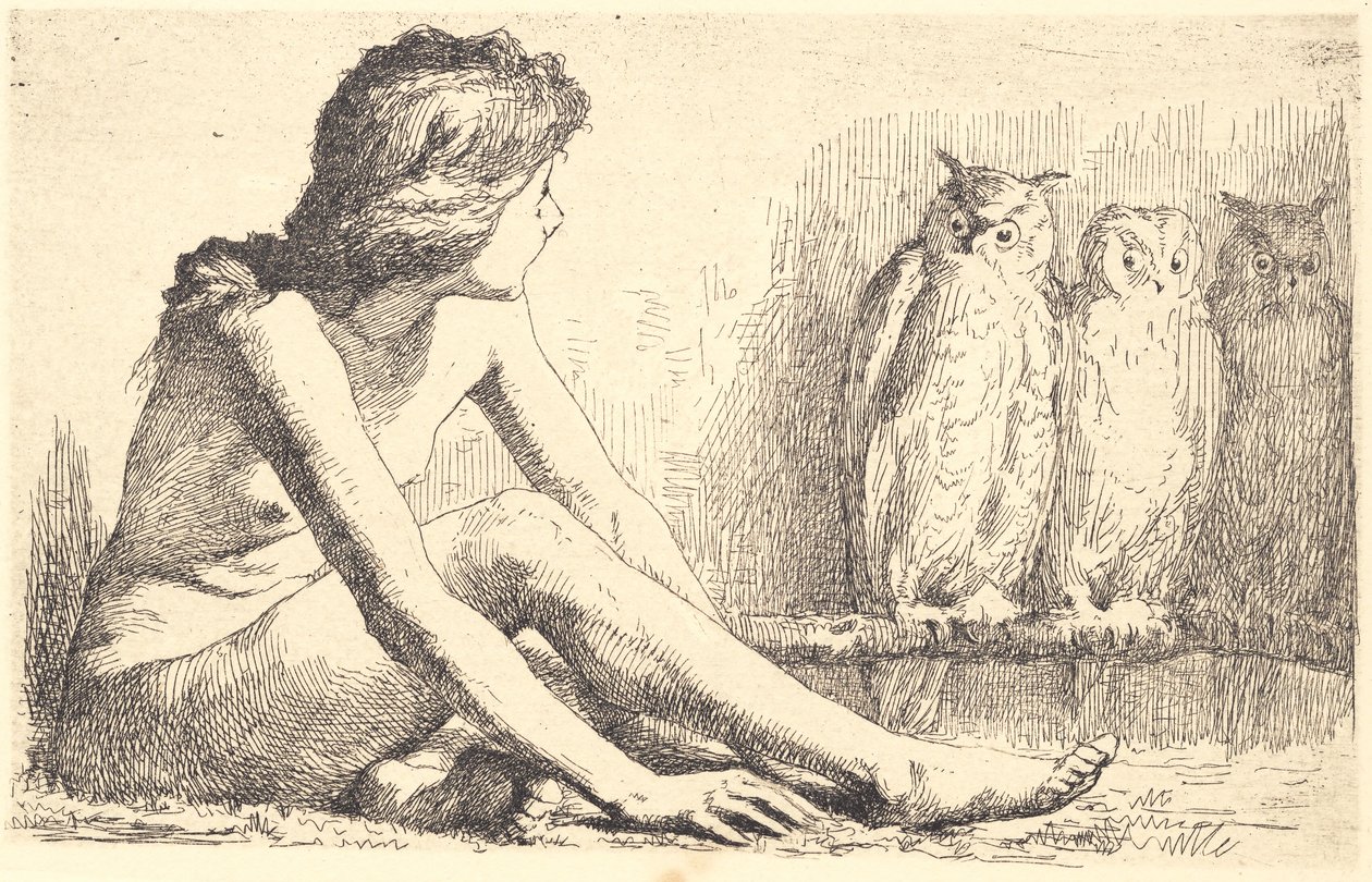 A menina das corujas de Frans Schwartz