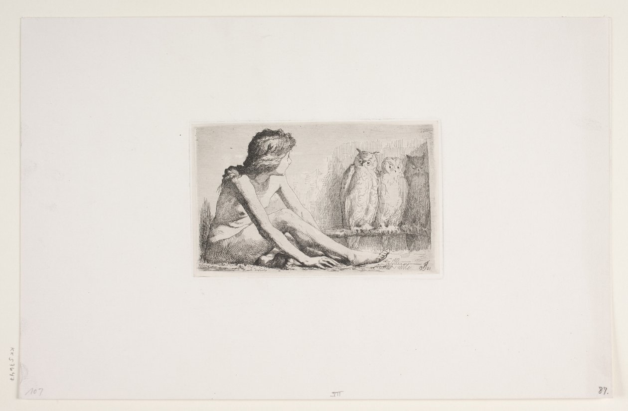 A menina das corujas de Frans Schwartz
