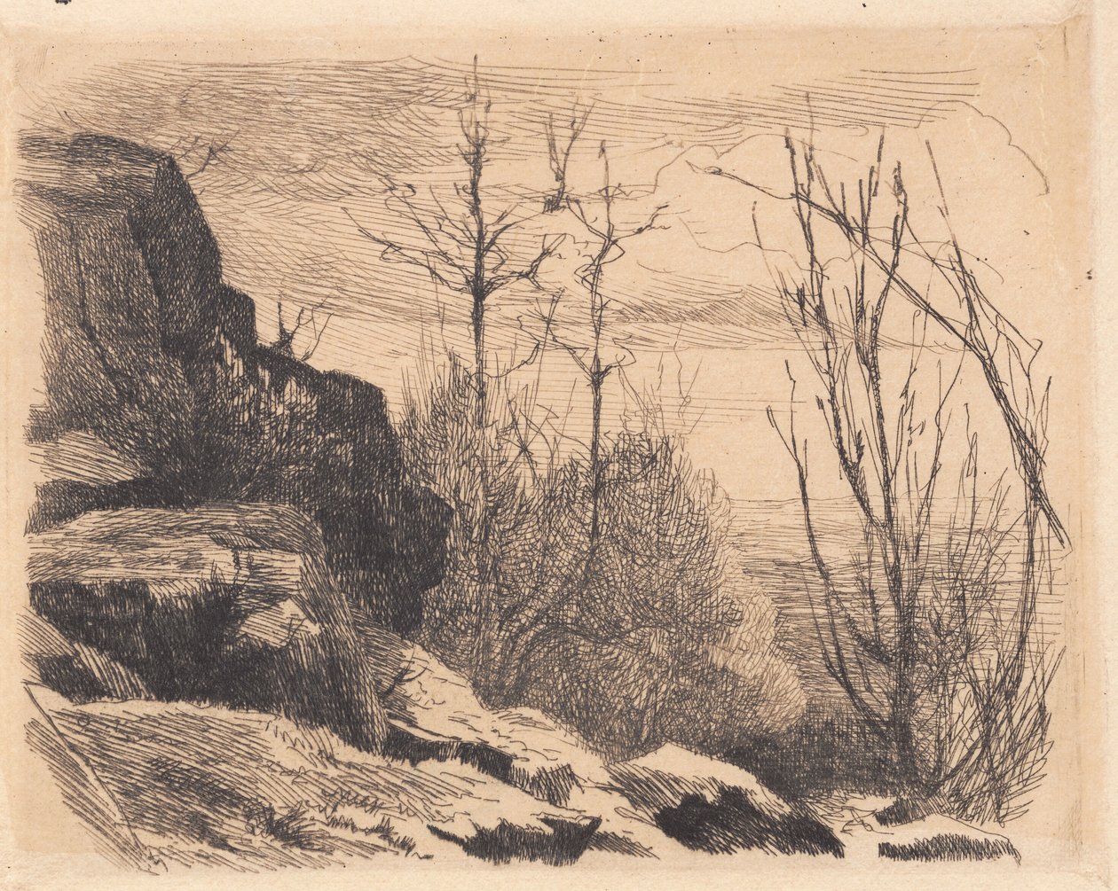 Prato de amostra: paisagem com pedras e árvores de Frans Schwartz