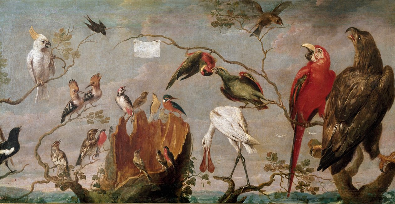 Pintura de Concerto de Aves de Frans Snyders (Snijders) (1579-1657) Século XVII Madrid, Museu do Prado de Frans Snyders