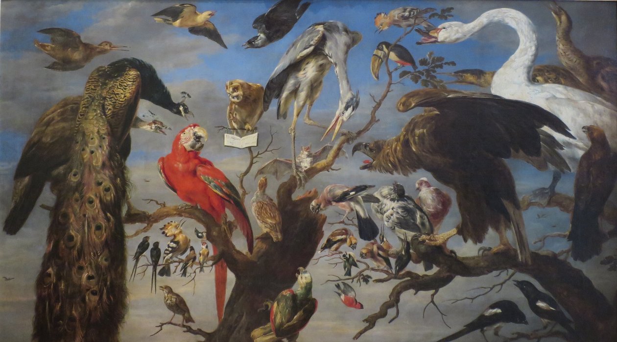 Concerto de pássaros de Frans Snyders