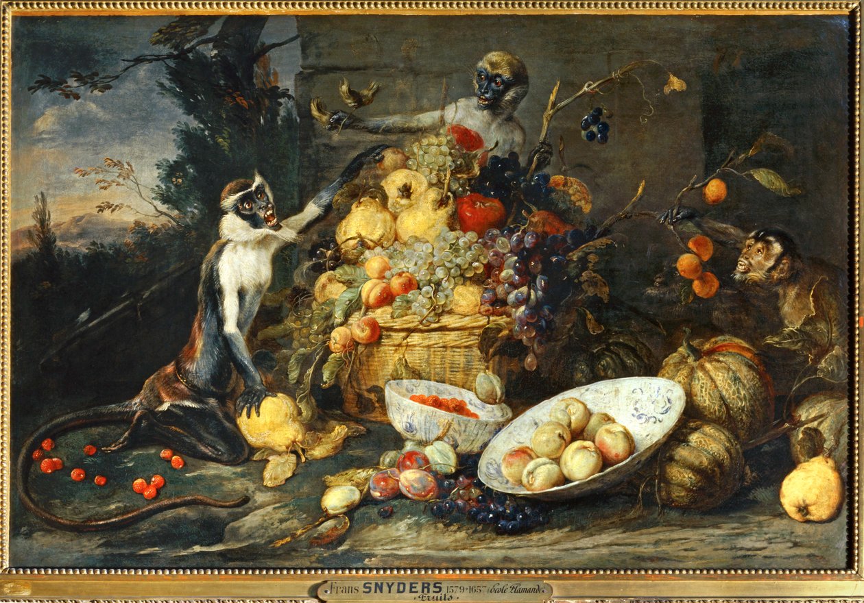 Três macacos, ladrões de fruta ... de Frans Snyders