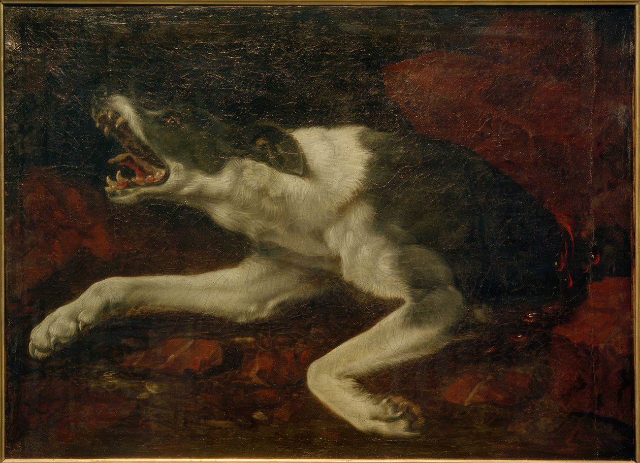 Cão ferido de Frans Snyders or Snijders
