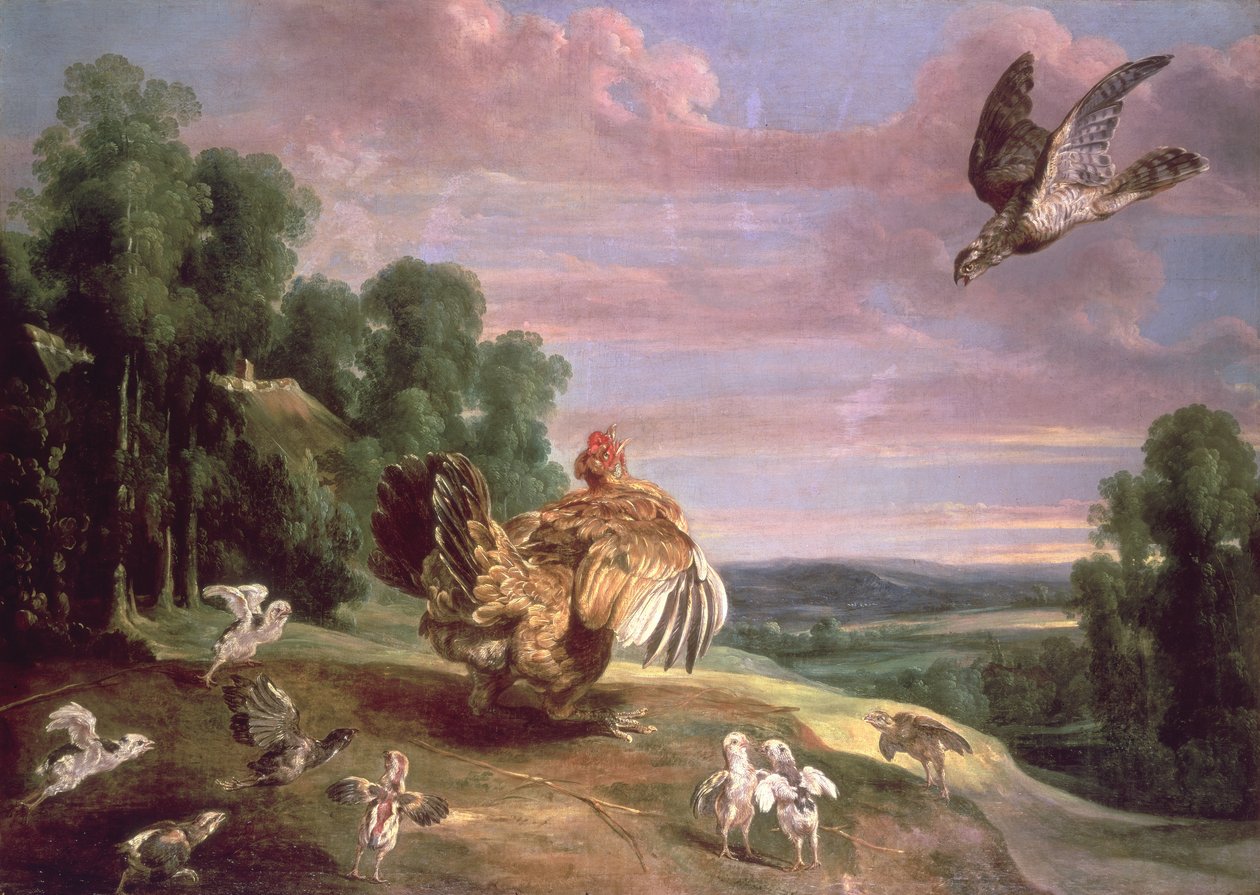 O falcão e a galinha de Frans Snyders or Snijders