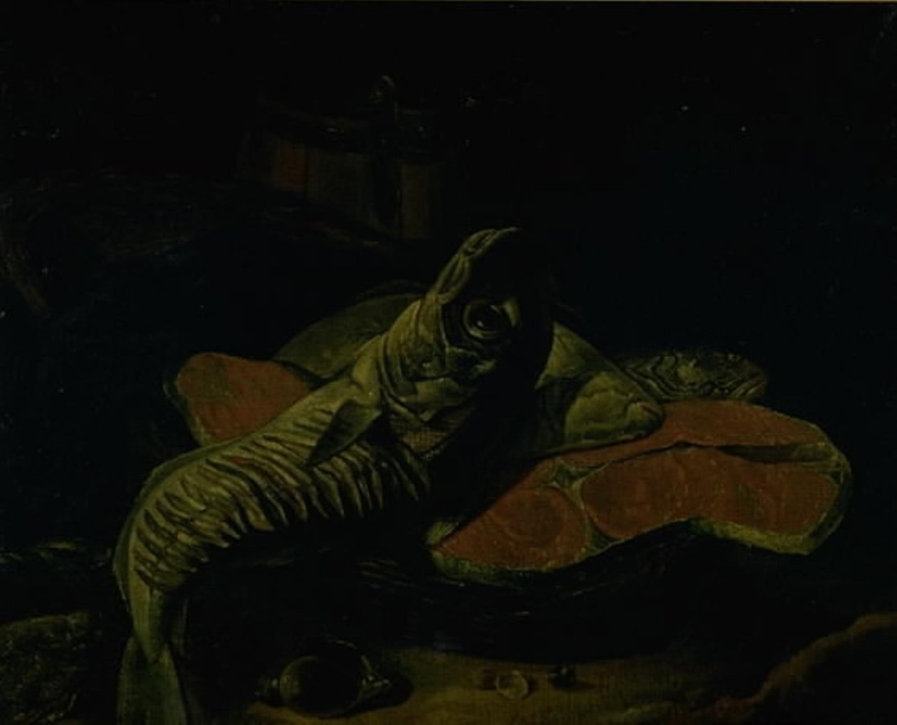 Peixe de Frans van