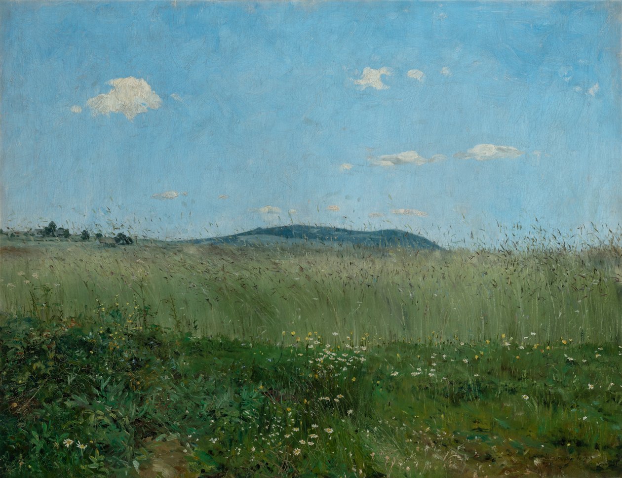 The Air of Home de Frantisek Kavan