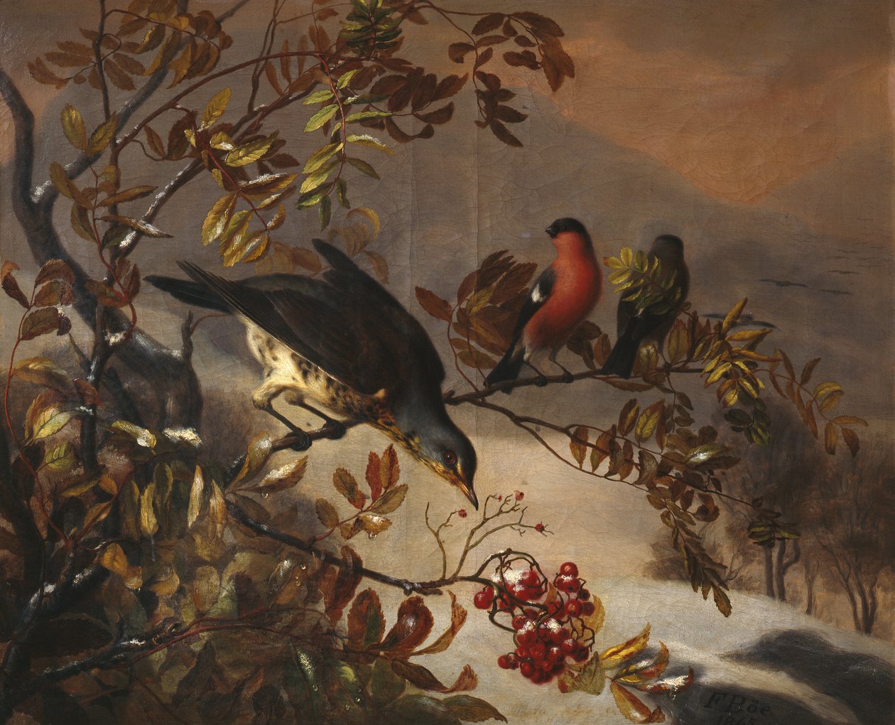 Aves num galho de tramazeira de Frants Diderik Boe