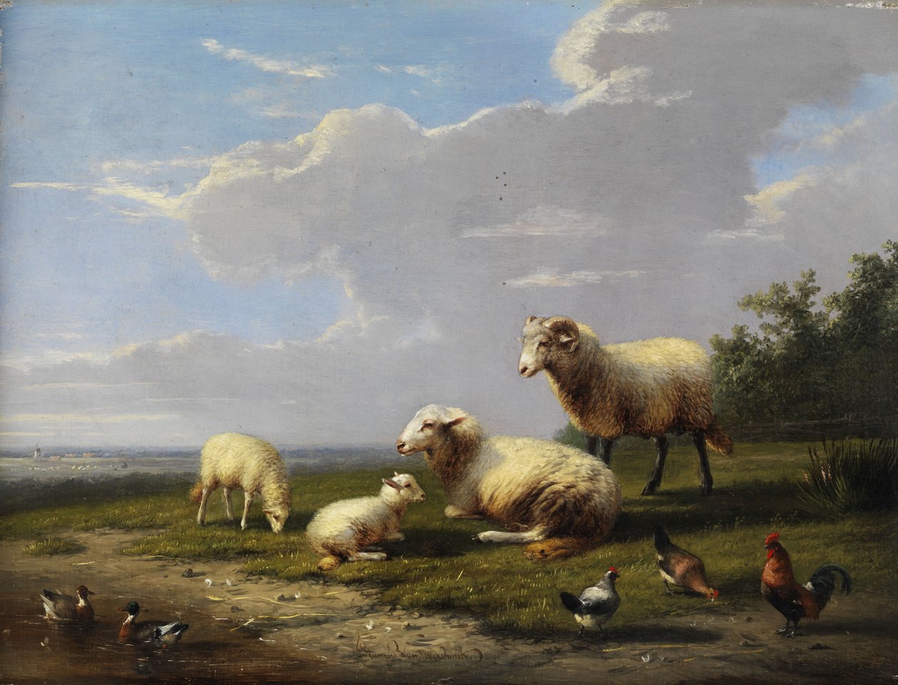 Paisagem ampla primavera com ovelhas, galinhas e patos de Franz van Severdonck
