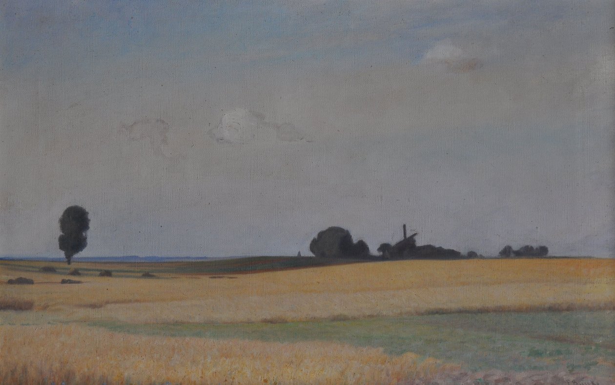 Mecklenburg paisagem com moinho de vento de Franz Bunke