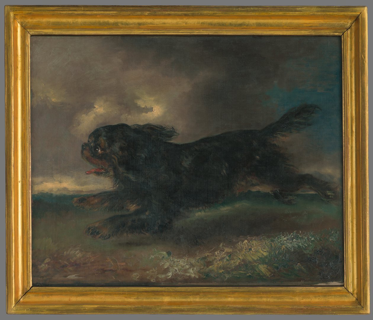 Cão de corrida de Franz Krüger