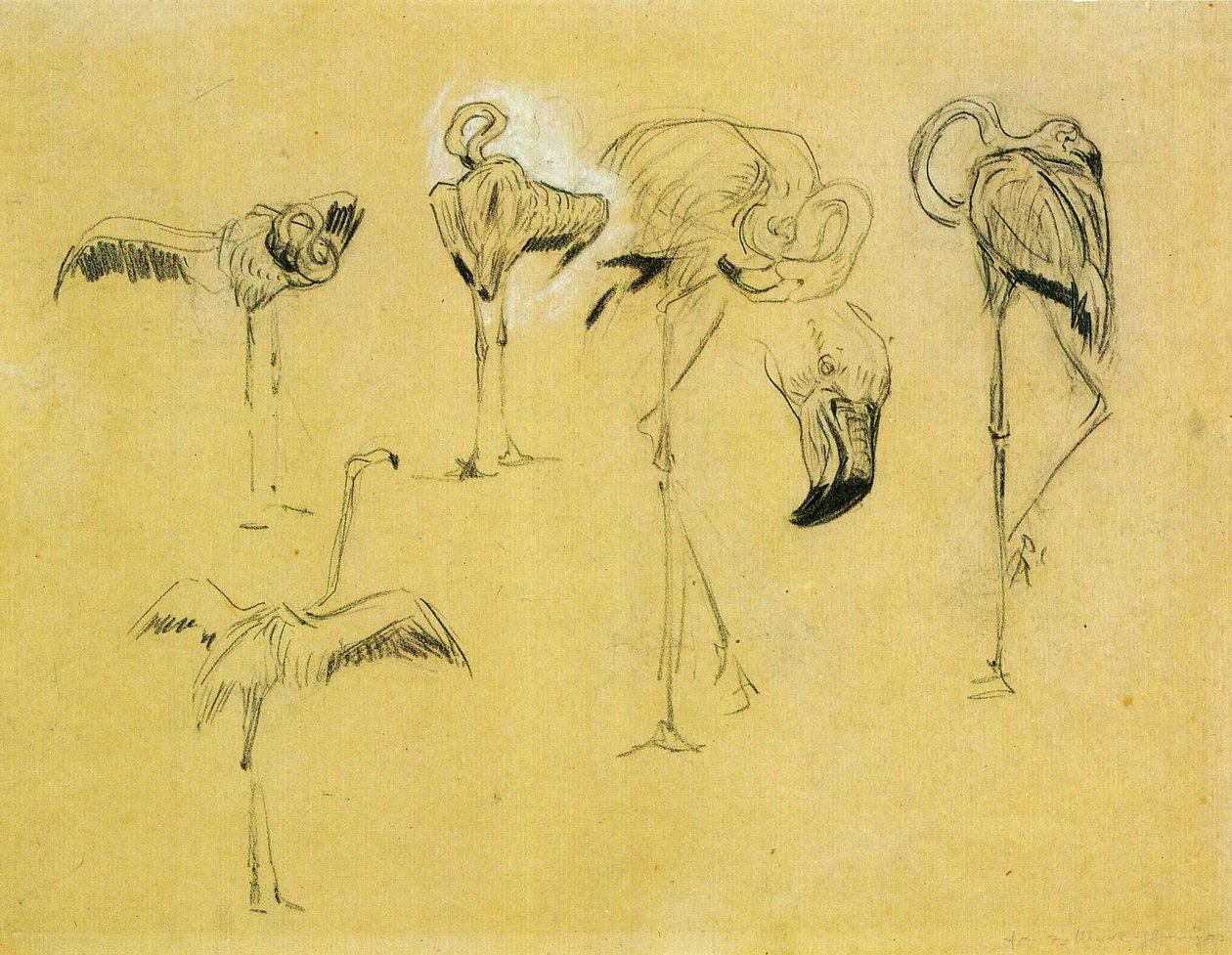 Flamingos de Franz Marc