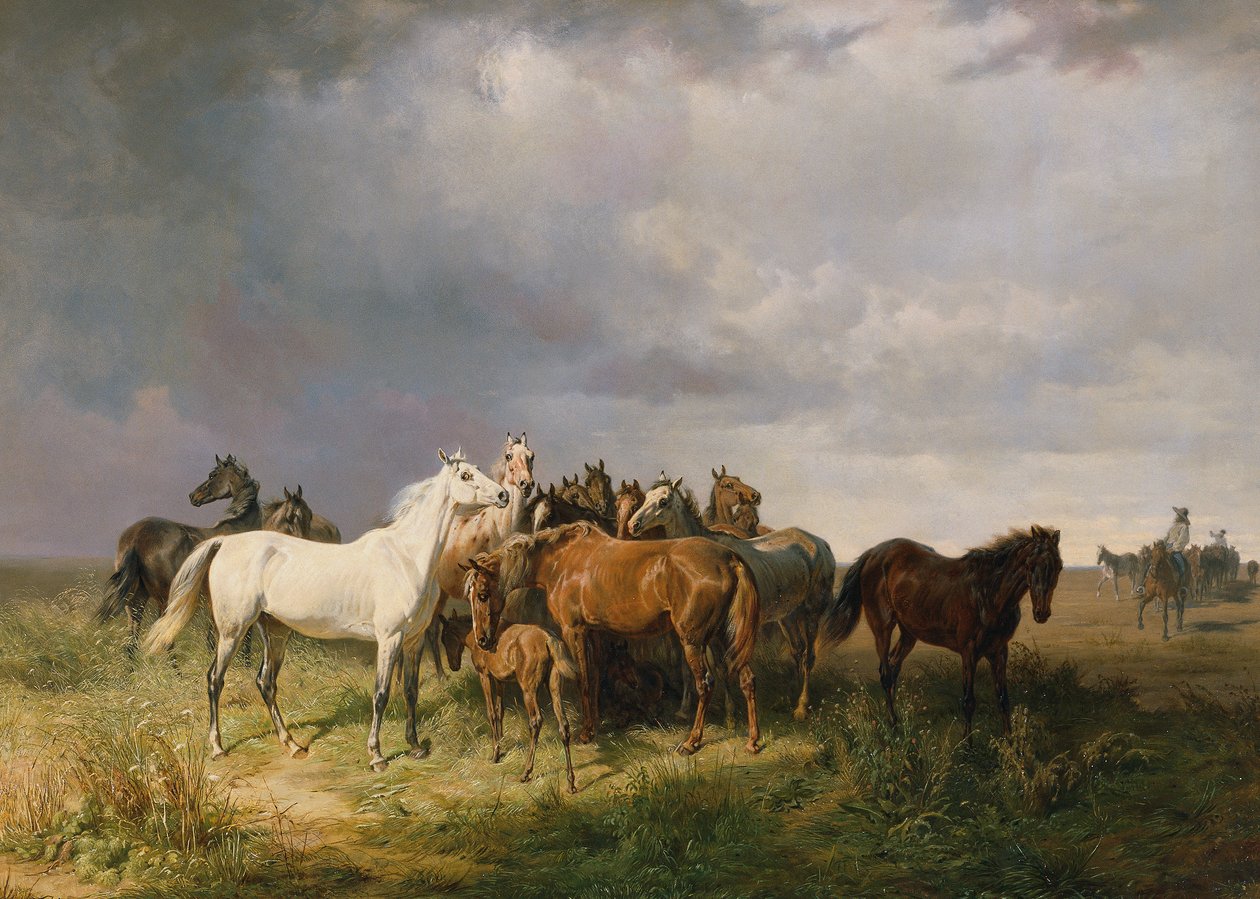 Cavalos no Puszta de Franz Adam