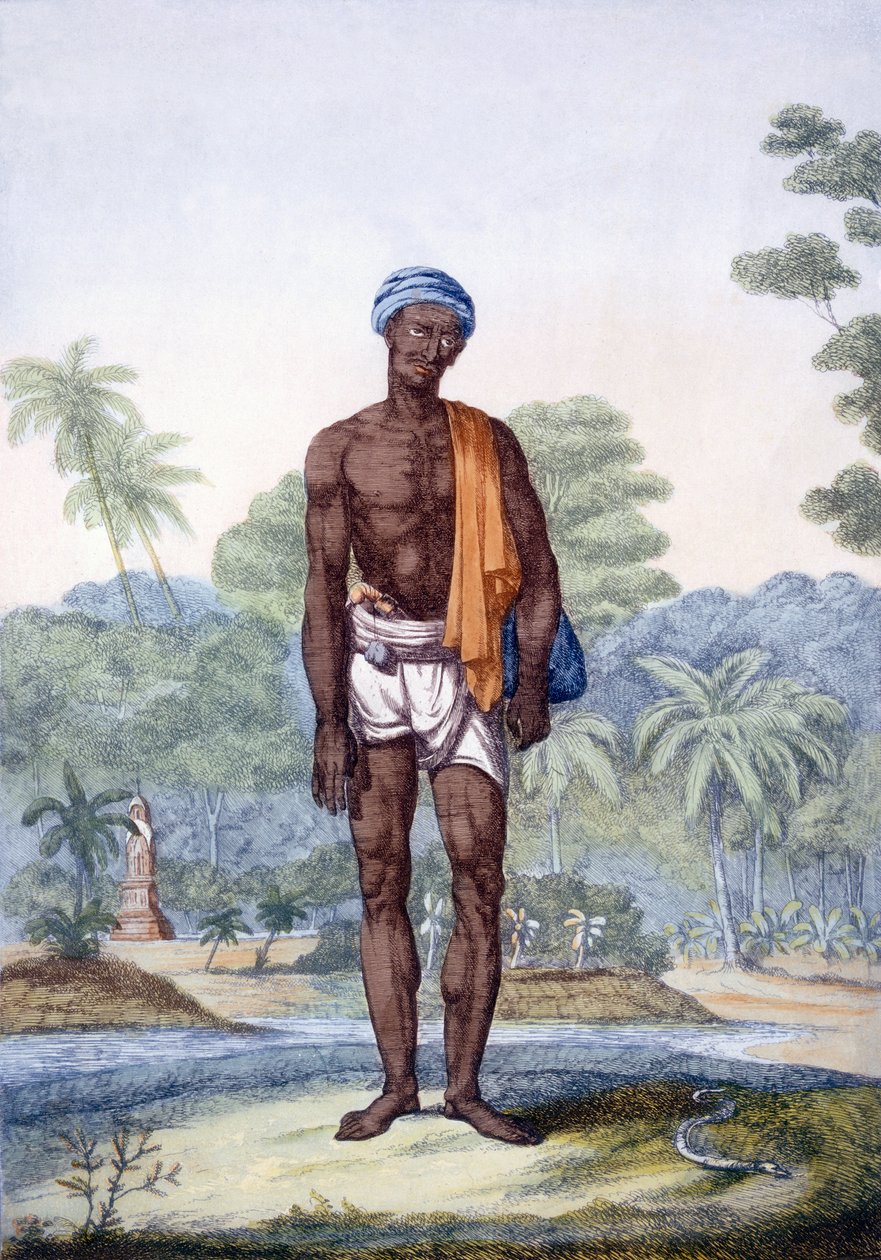 Um apanhador de cobras, de "The Hindus, ou a descrição de suas maneiras, trajes e cerimônias", c.1808-12 (gravura colorida) de Franz Balthazar Solvyns