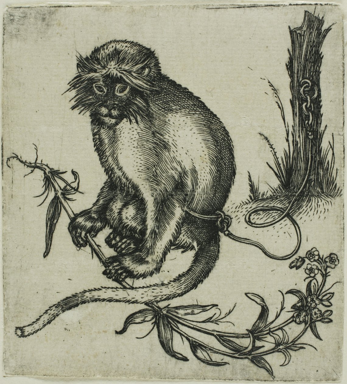 Um macaco acorrentado de Franz Brun