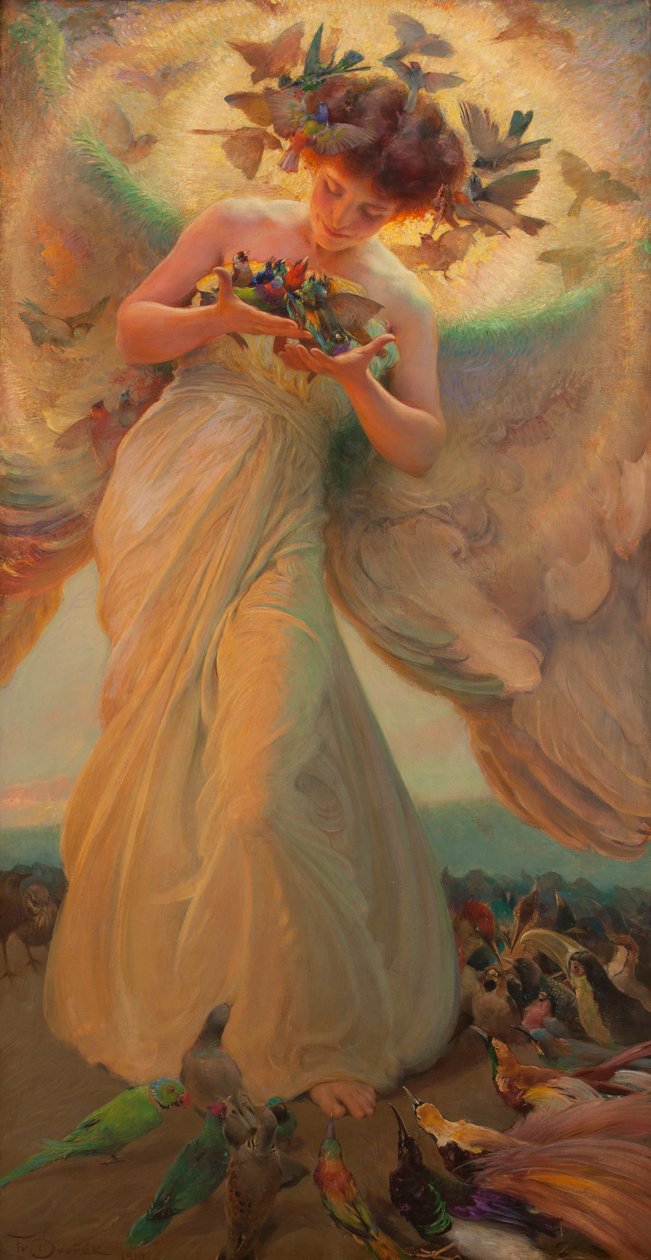 O Anjo das Aves de Franz Dvorak