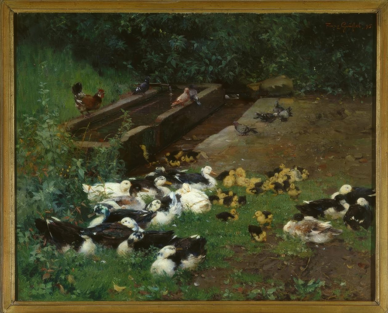 Entenfamilien de Franz Grassel