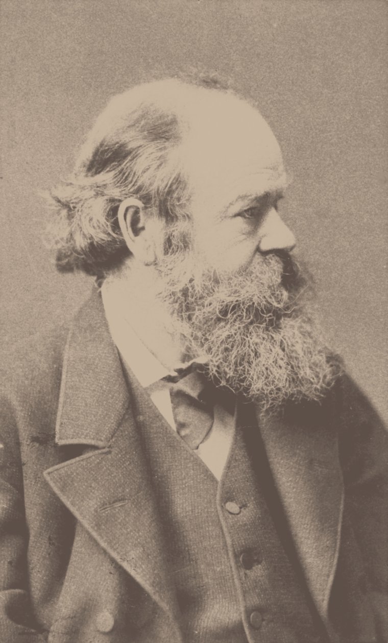 Retrato do compositor Robert von Hornstein 1833-1890. de Franz Hanfstaengl