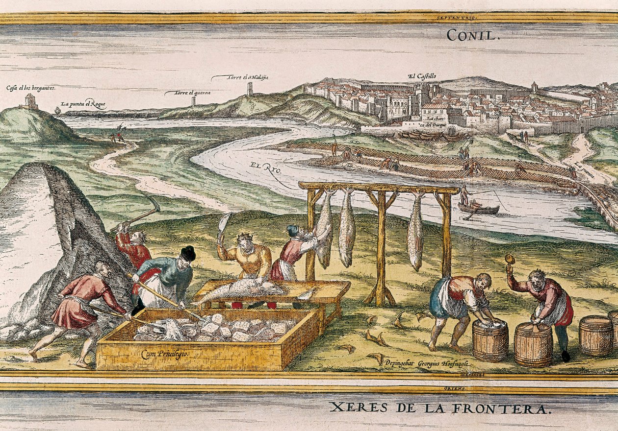 Conil de la Frontera, os pescadores secam o peixe, cortam-no, vendem-no e embalam-no em barris para venda, da "Civitatis Orbis Terrarum". de Franz Hogenberg