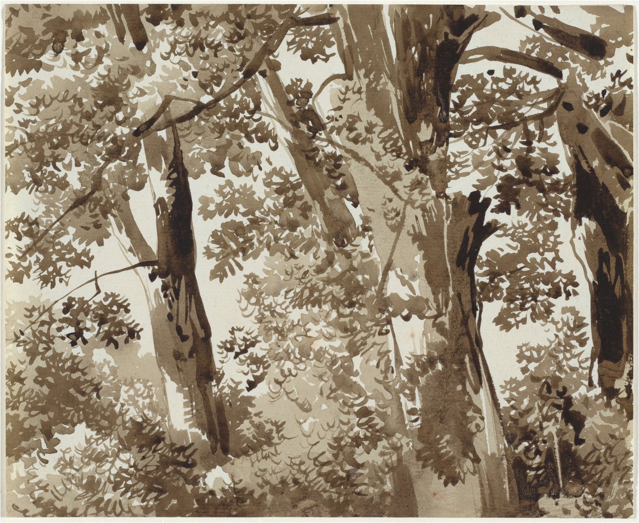 Árvores com vegetação rasteira densa de Franz Innocenz Josef Kobell