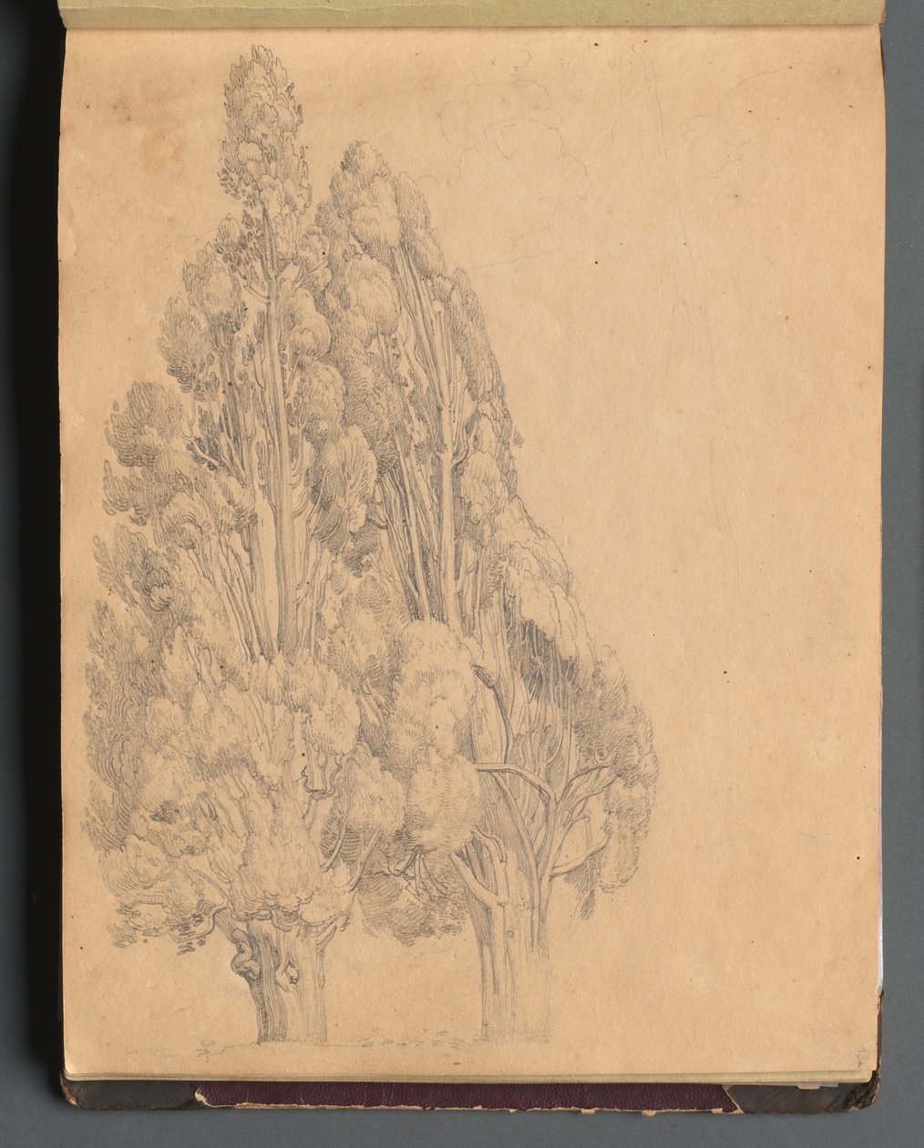 Álbum com Vistas de Roma e Arredores, Estudos Paisagísticos, página 13a: Árvores. de Franz Johann Heinrich Nadorp